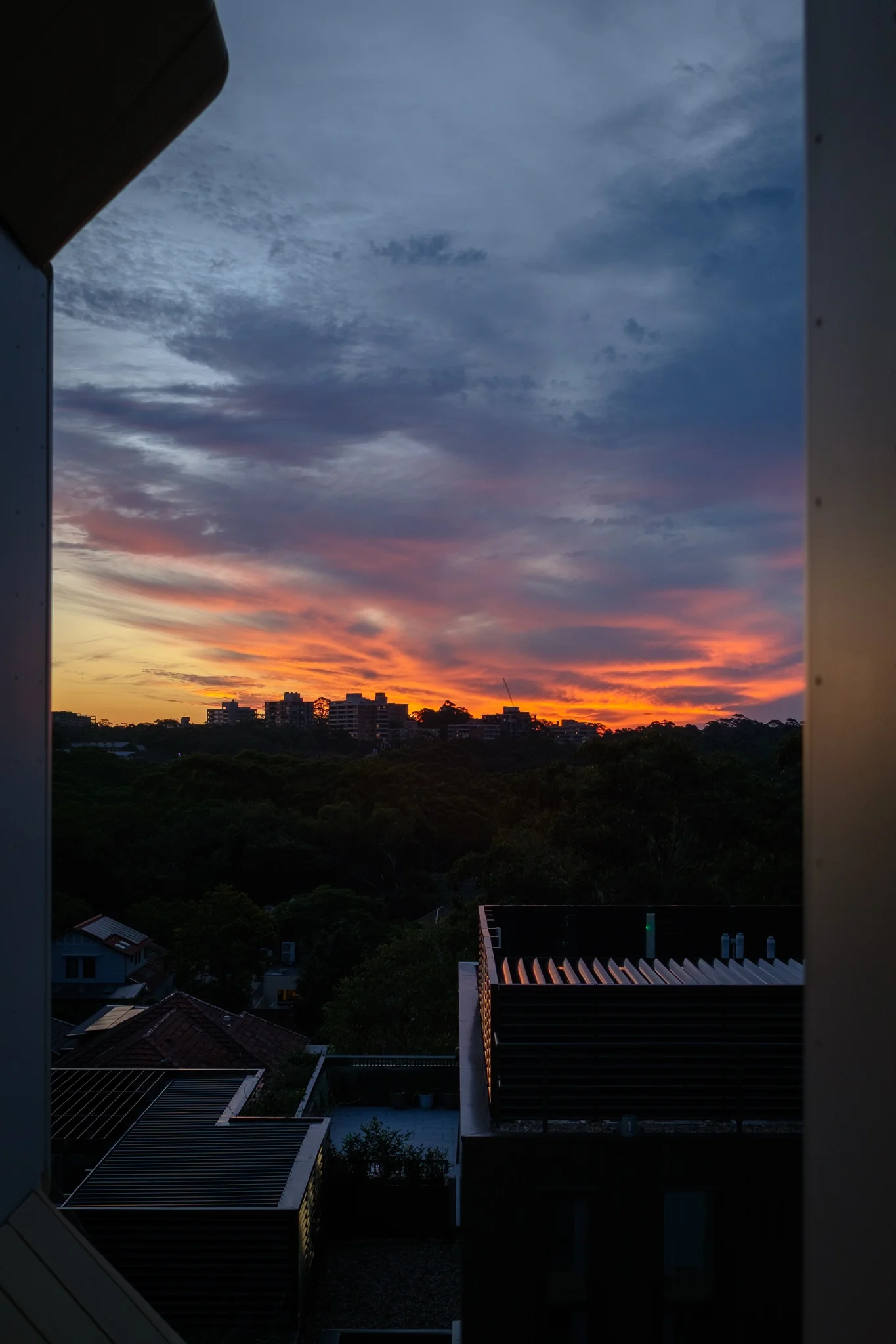 DSCF3561