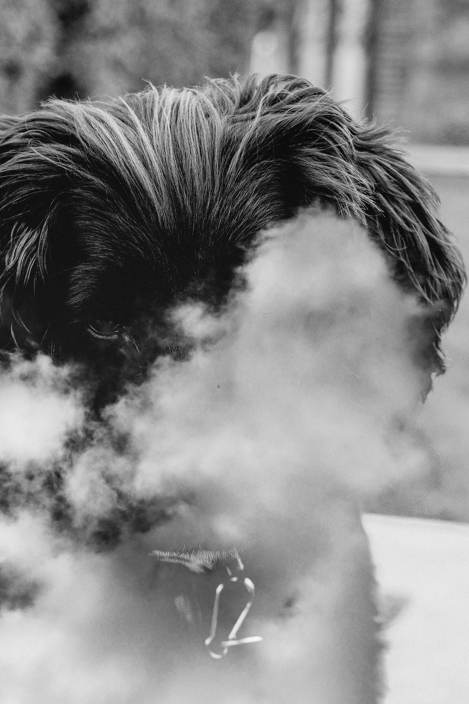 Shaggy dog's head in smoke