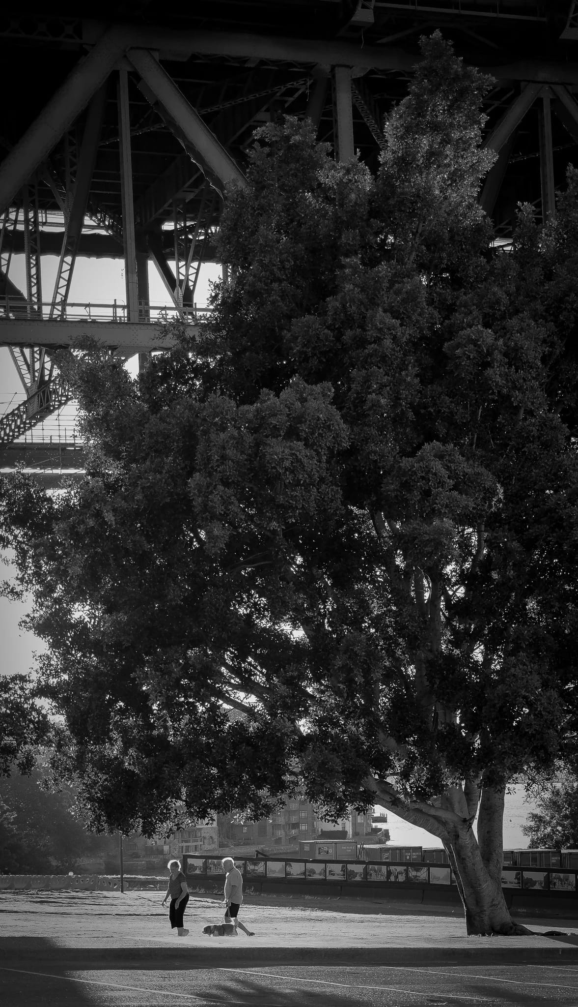 Stroll Under the Bridge