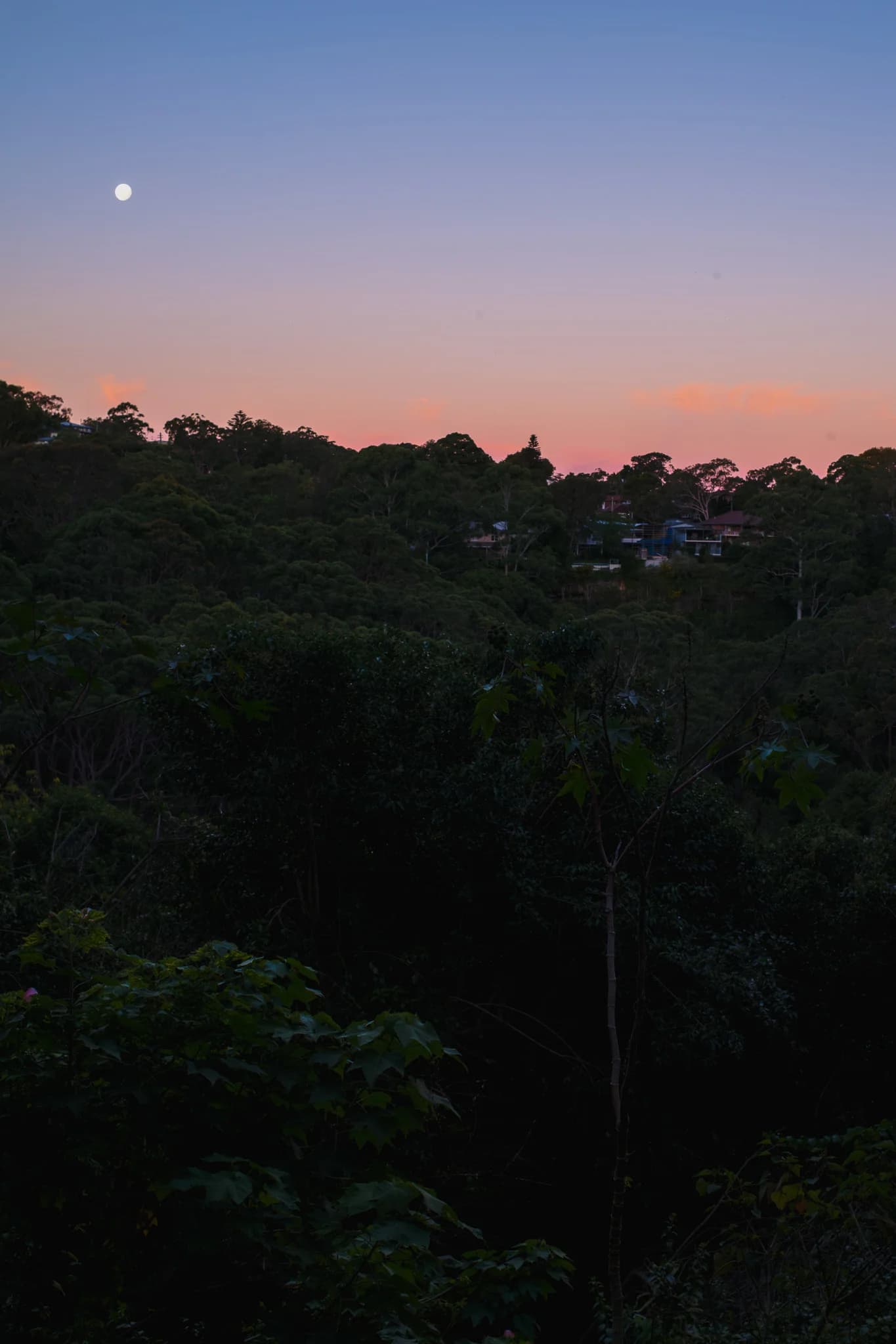 Moon over forested hills at twilight
