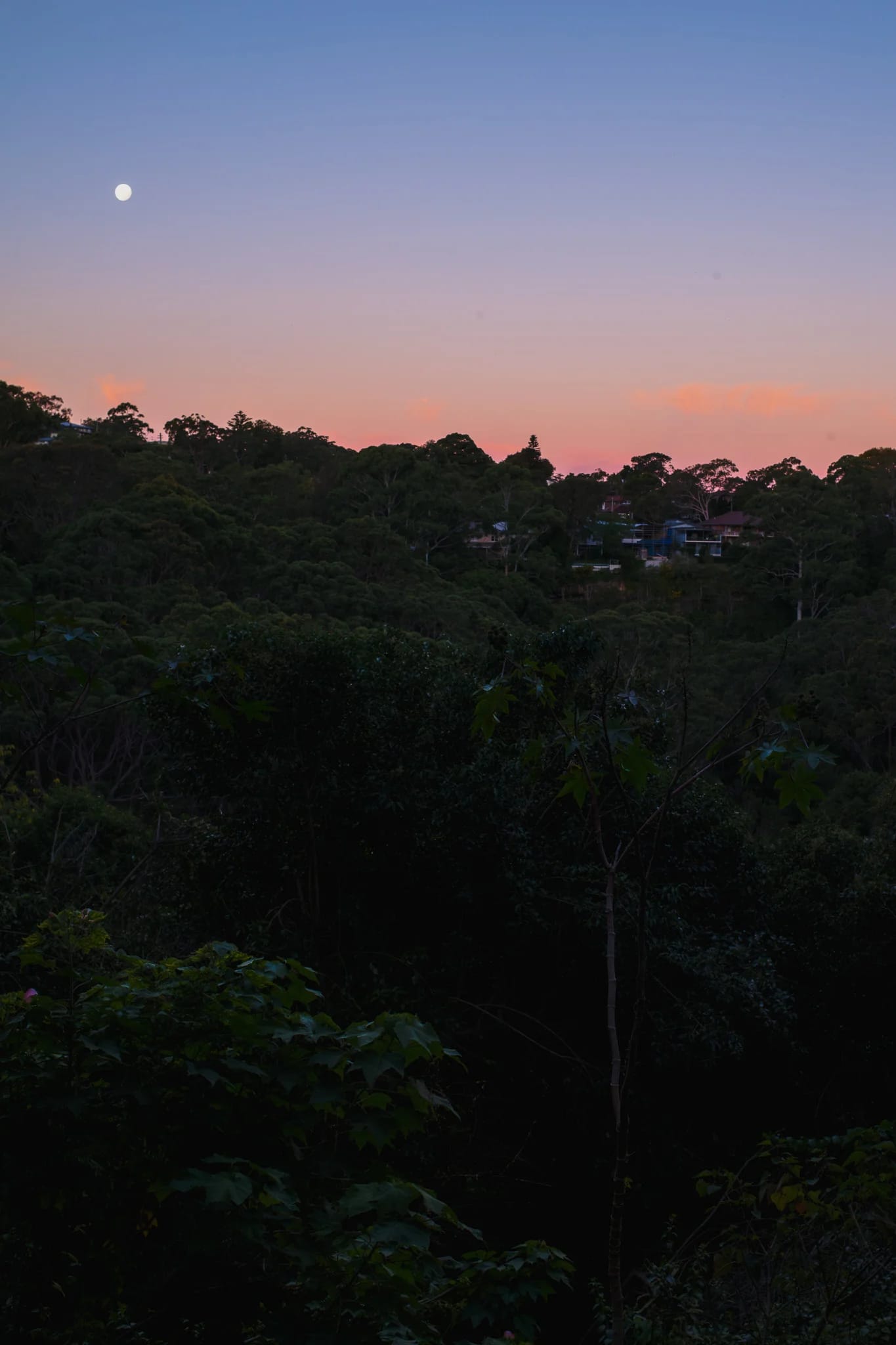 Moon over forested hills at twilight
