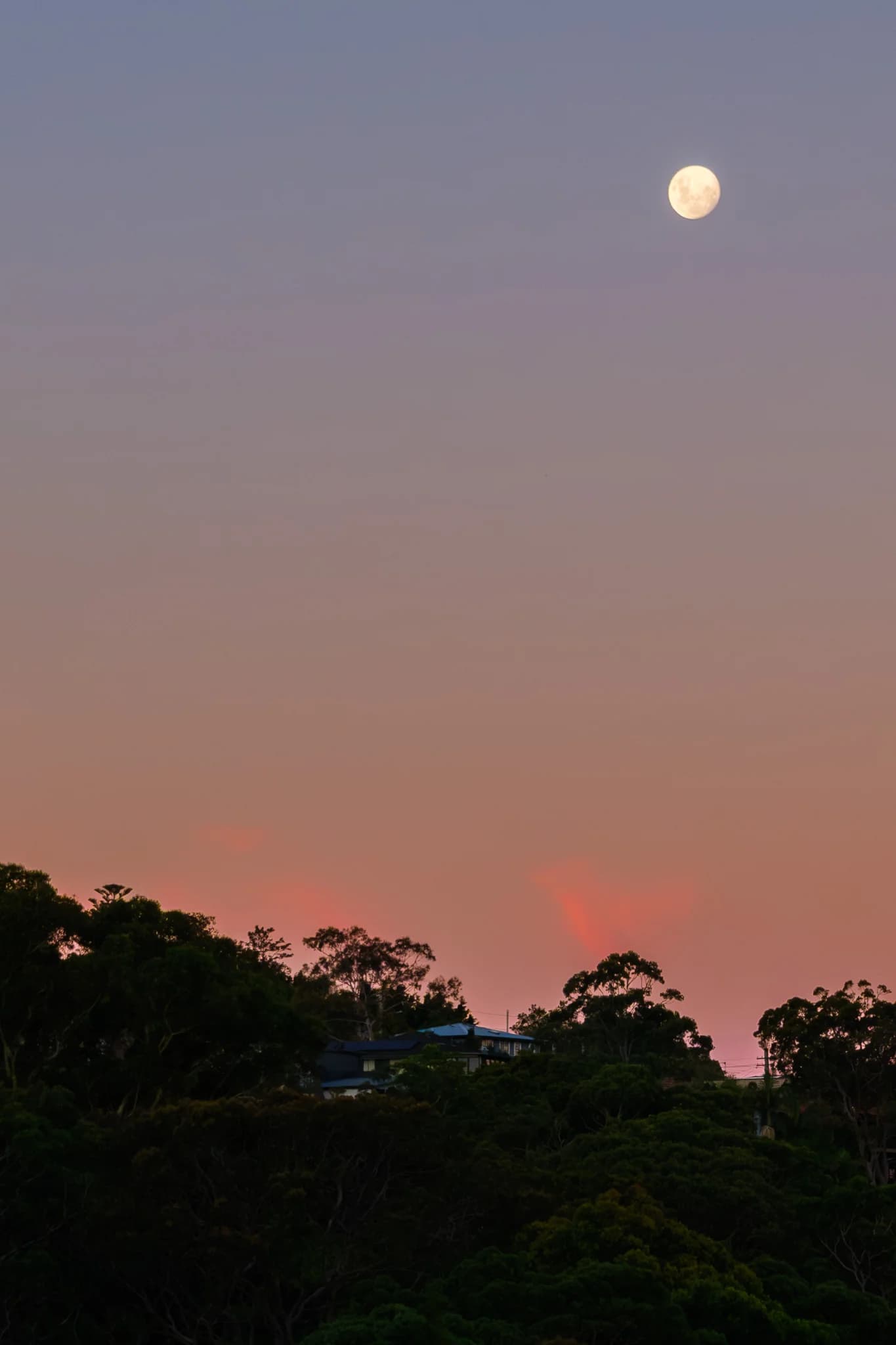 Full Moon Over Twilight Hill