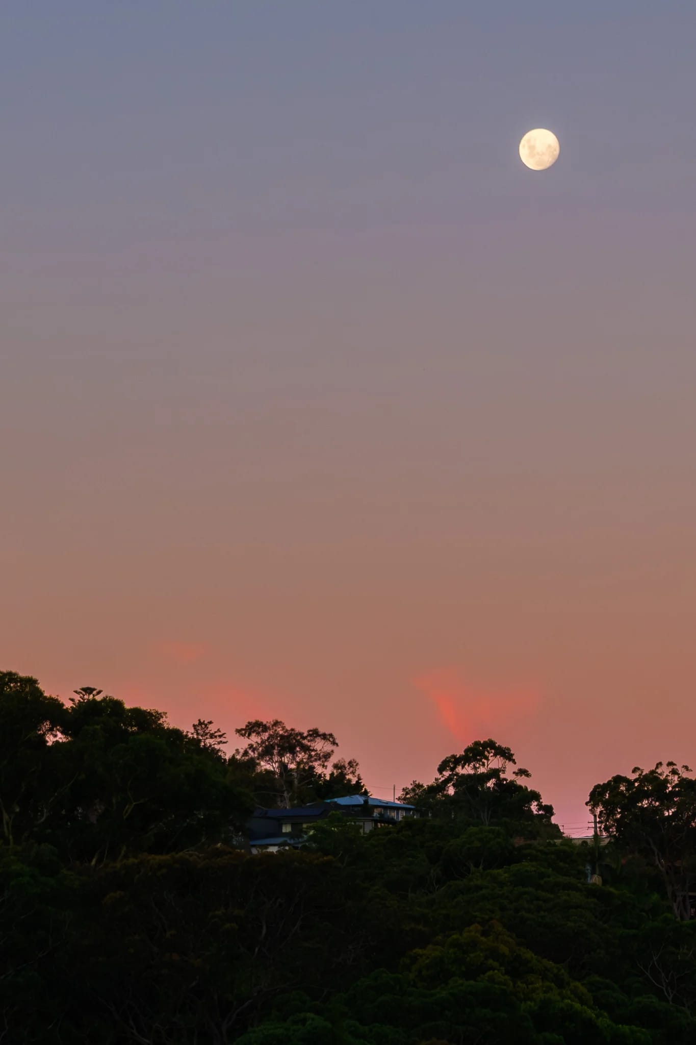 Full Moon Over Twilight Hill