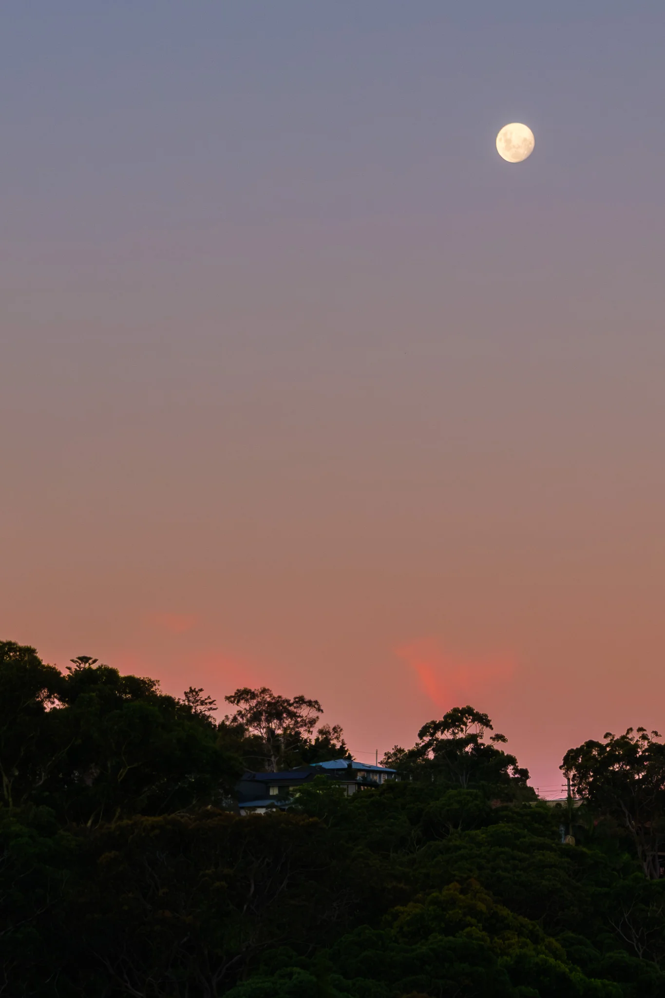 Full Moon Over Twilight Hill