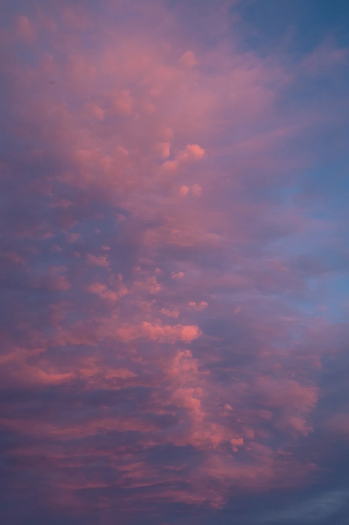 DSCF3552