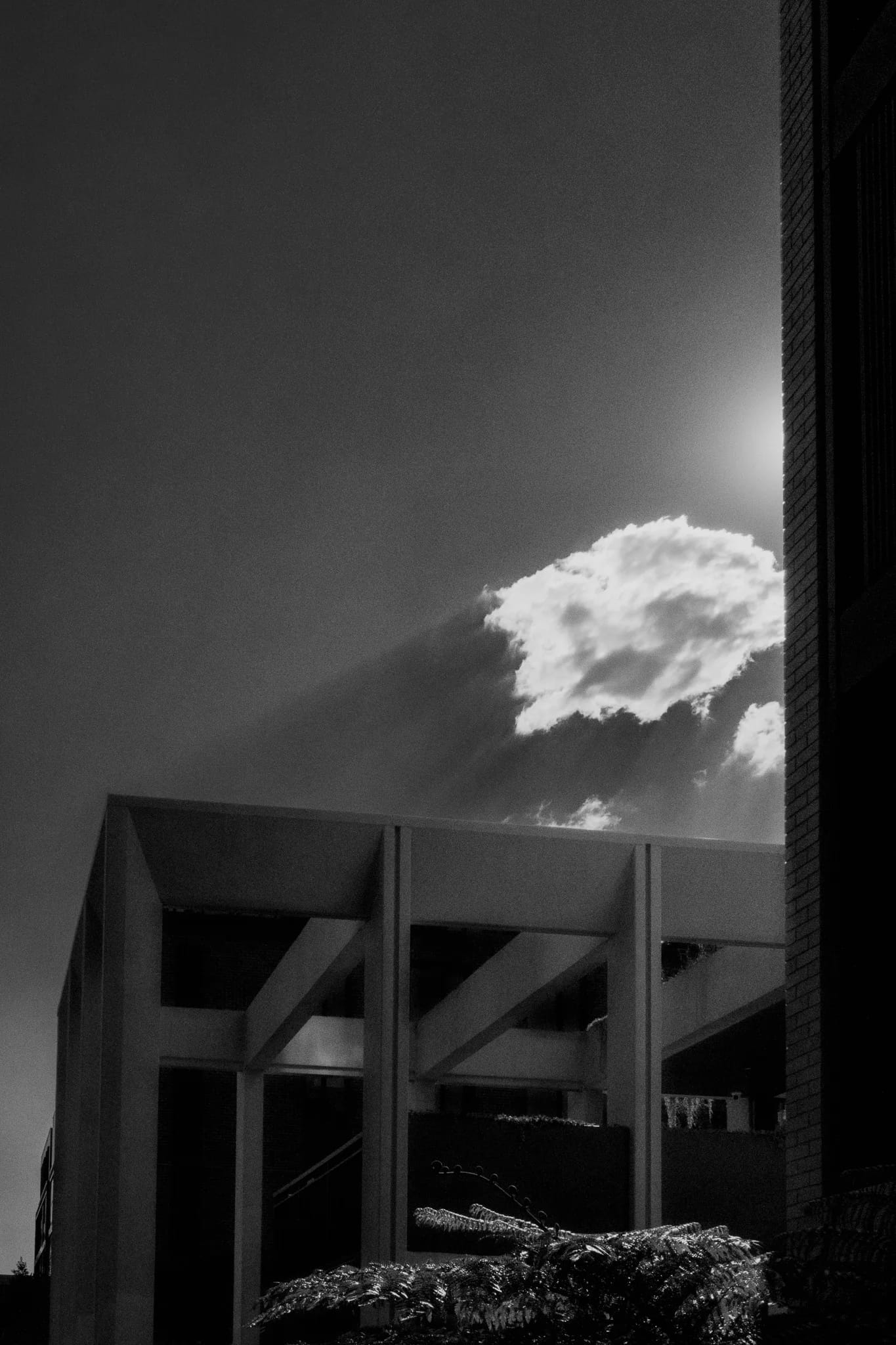 DSCF3670