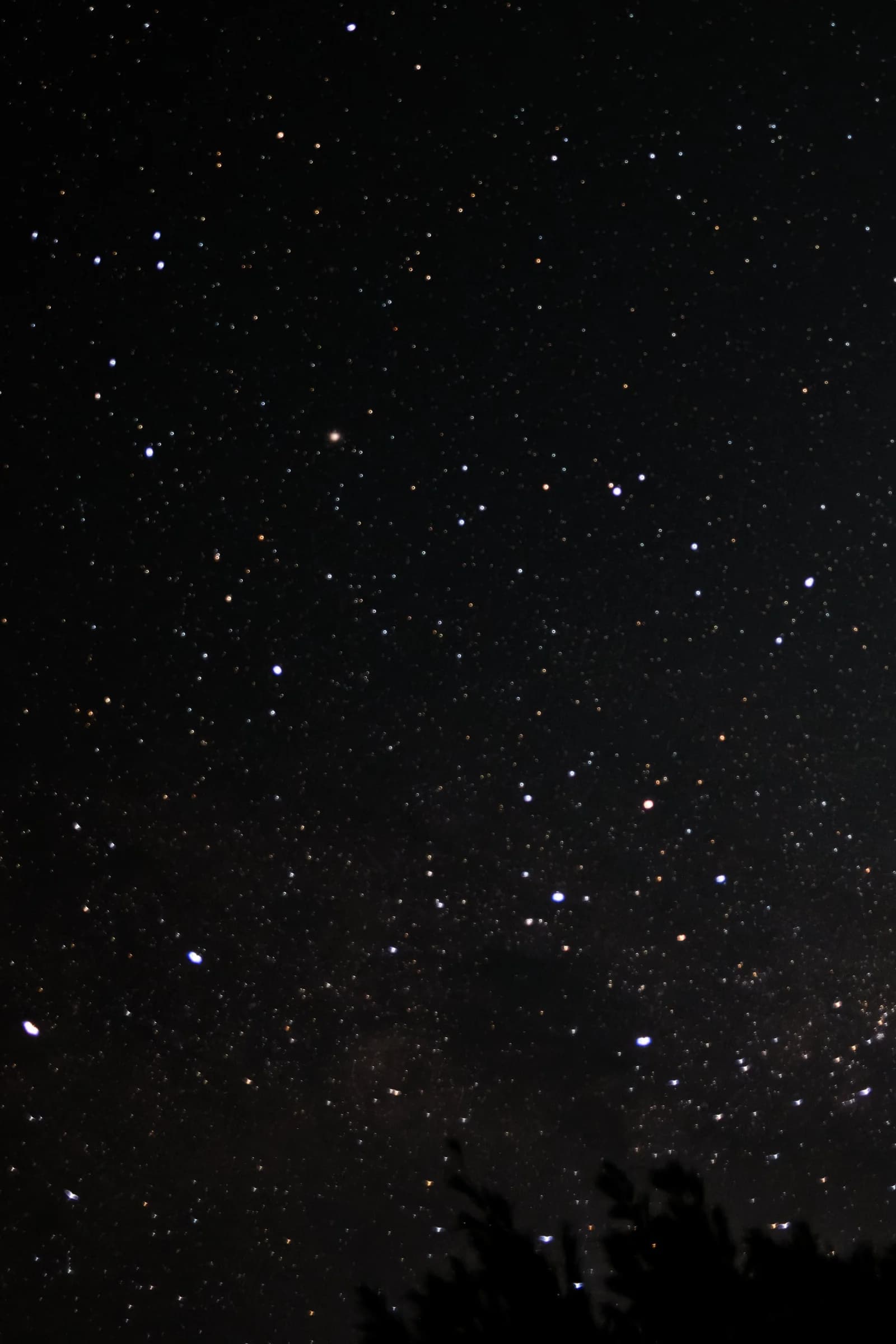 Night Sky Filled with Stars