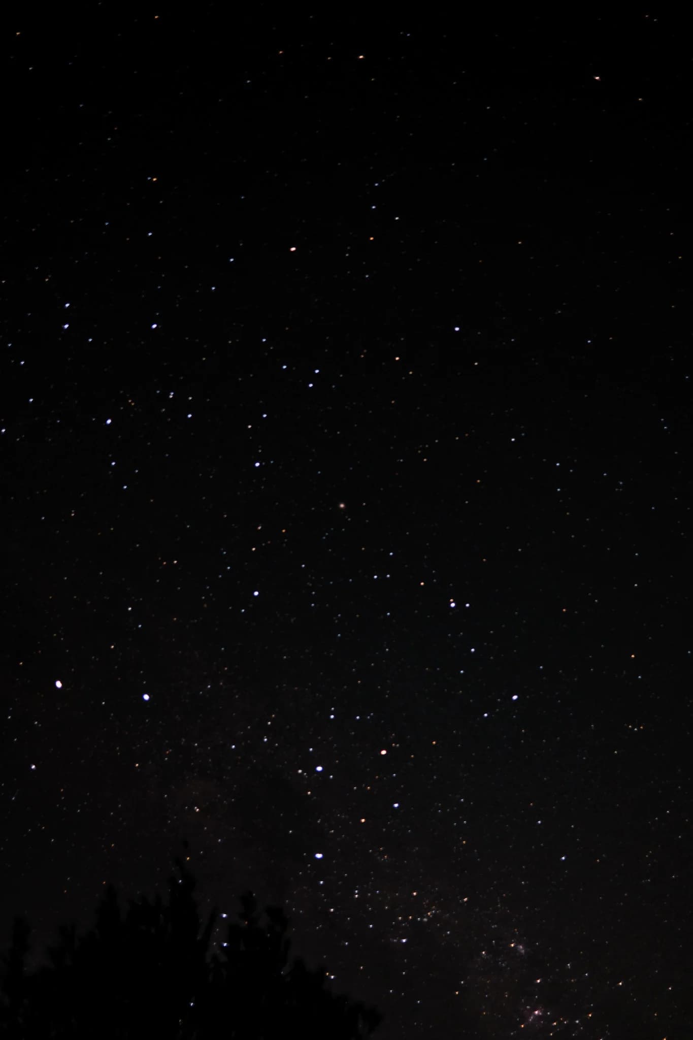 Night Sky Full of Stars