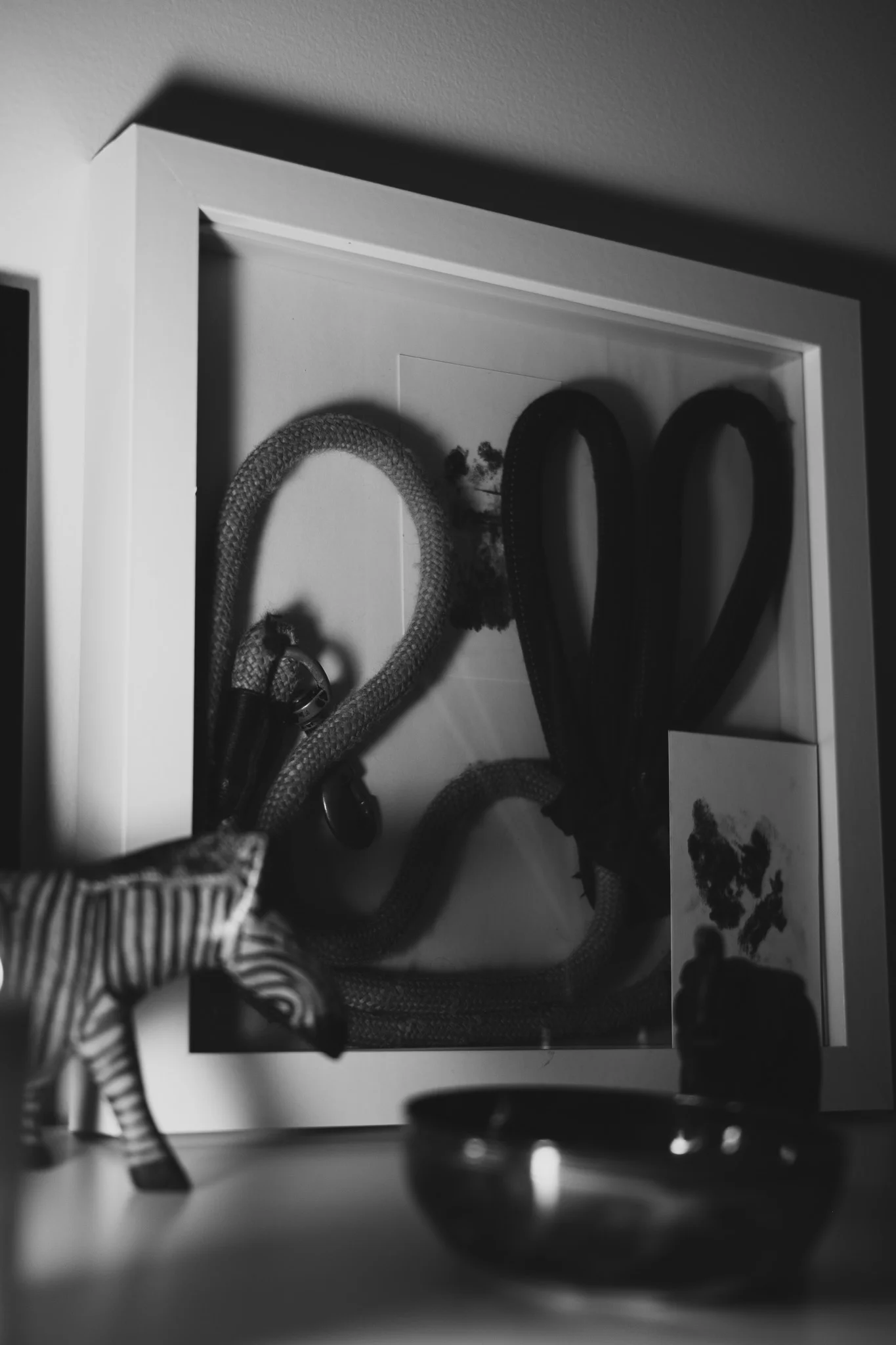 Pet Memorial Shadow Box