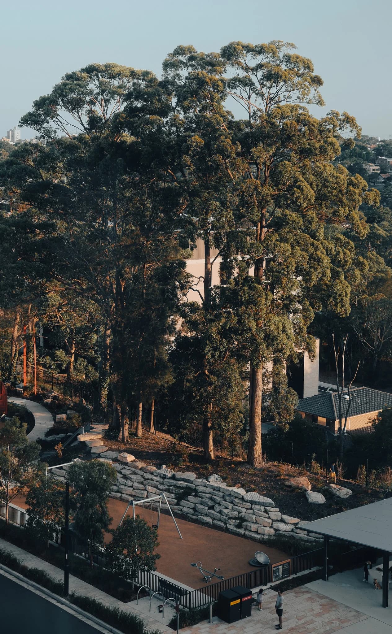 Playground Under Tall Trees