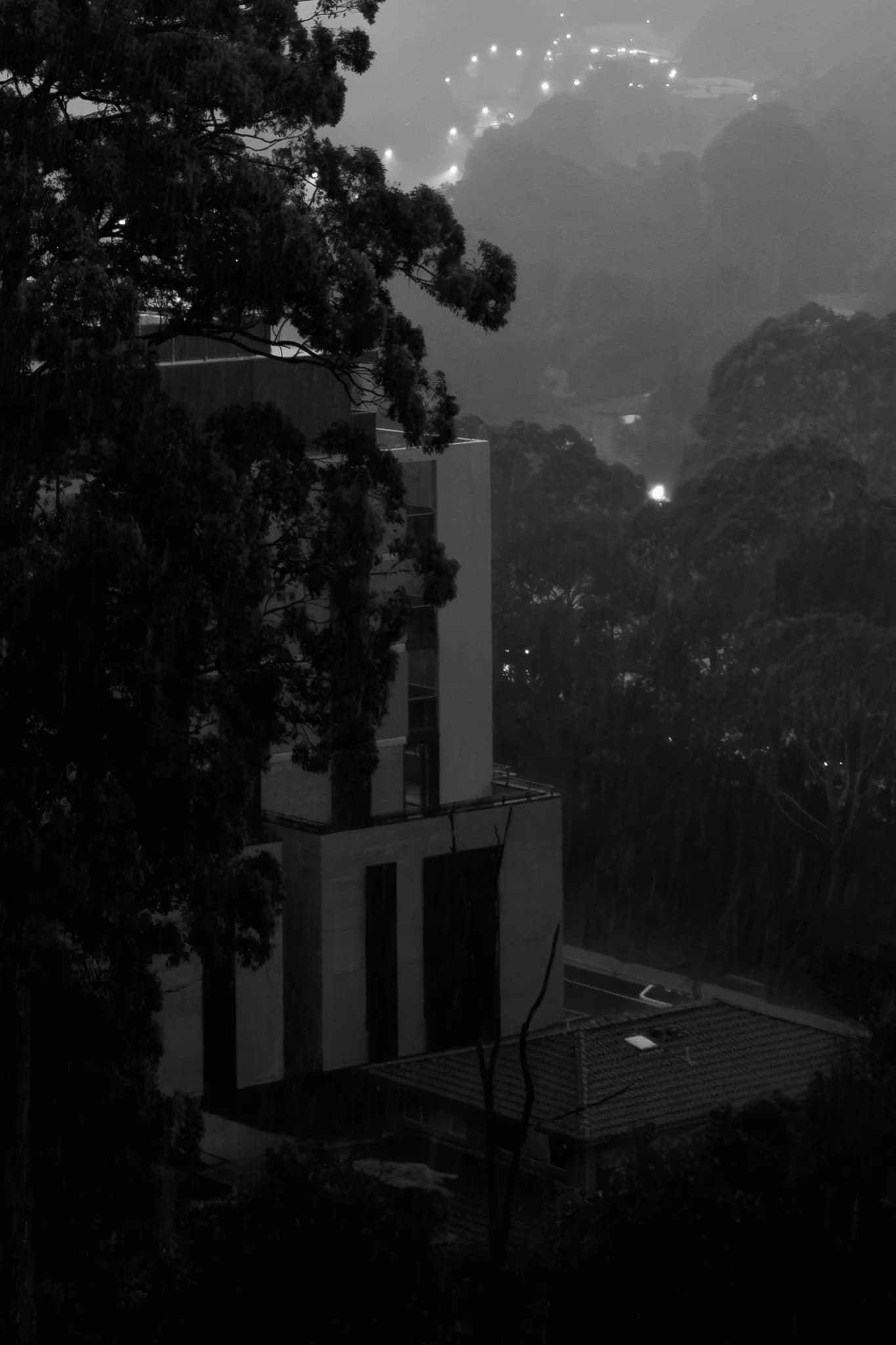 Rainy Hillside Architecture