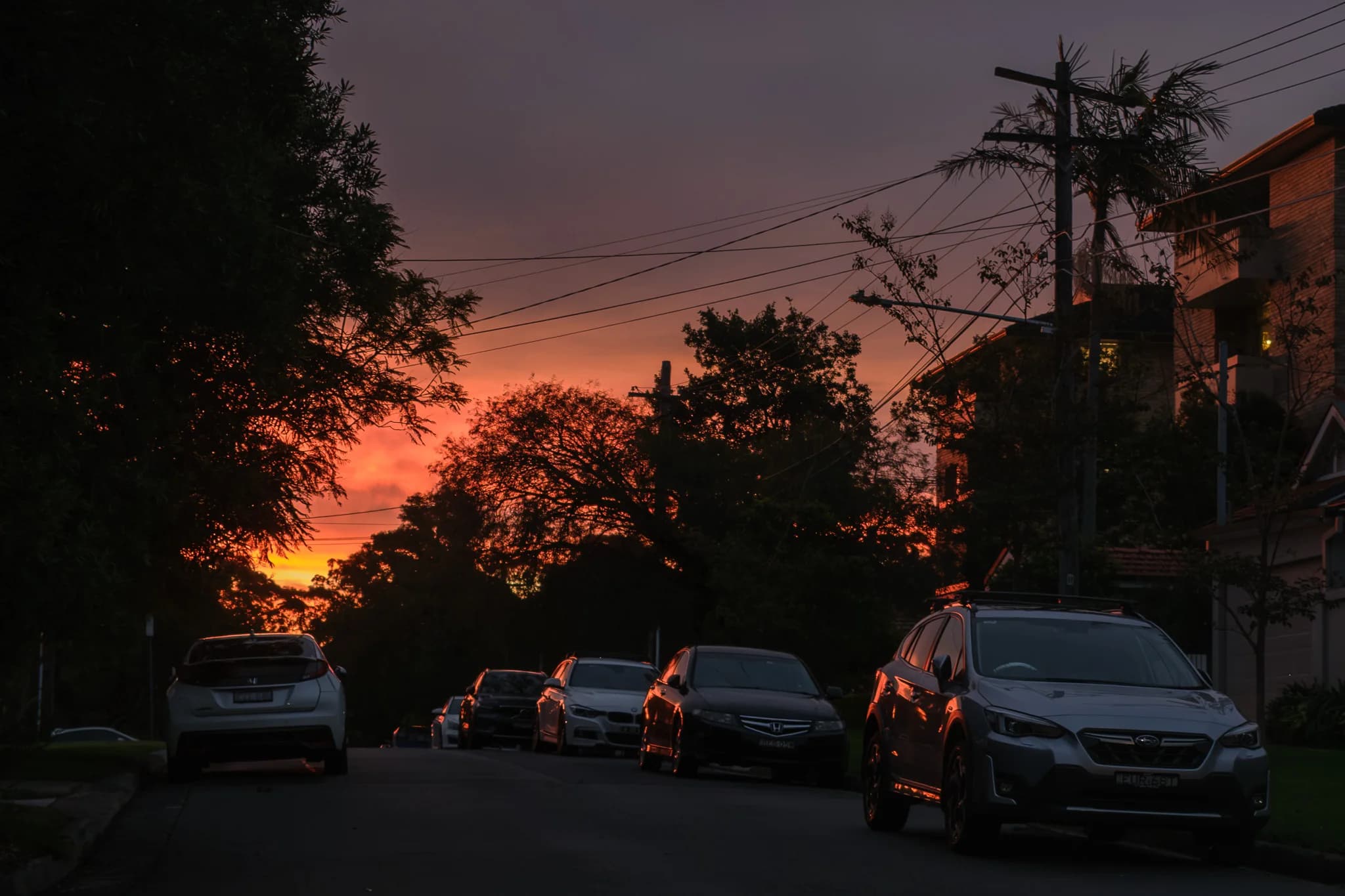 Suburban Street at Sunset