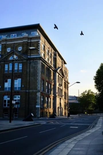 Birds over historic brick building