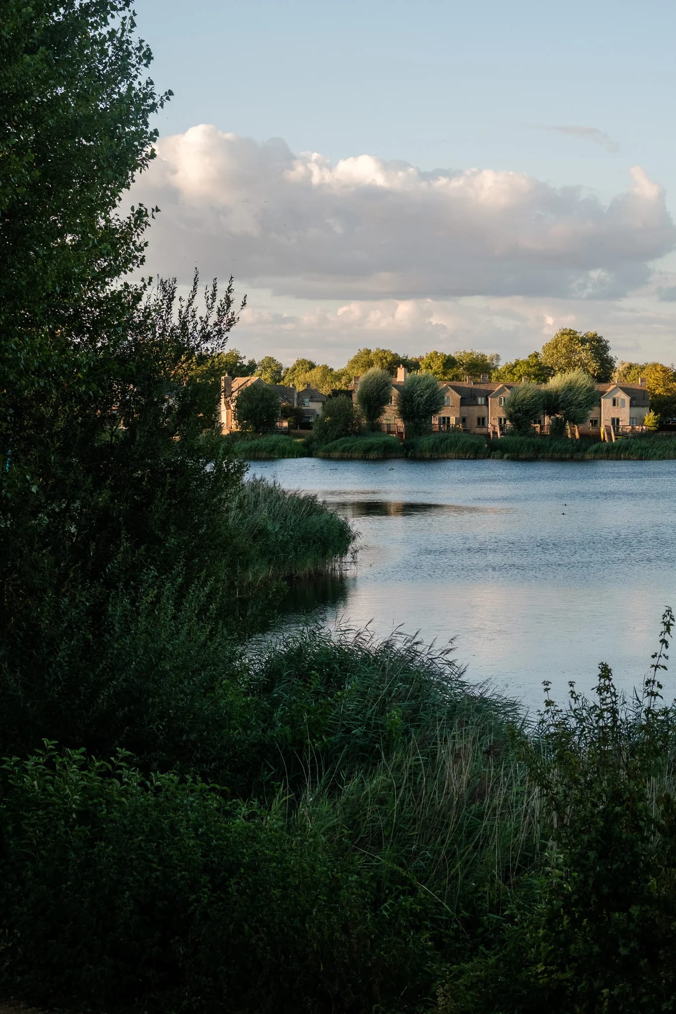 Lakeside Homes Under a Cloudy Sky