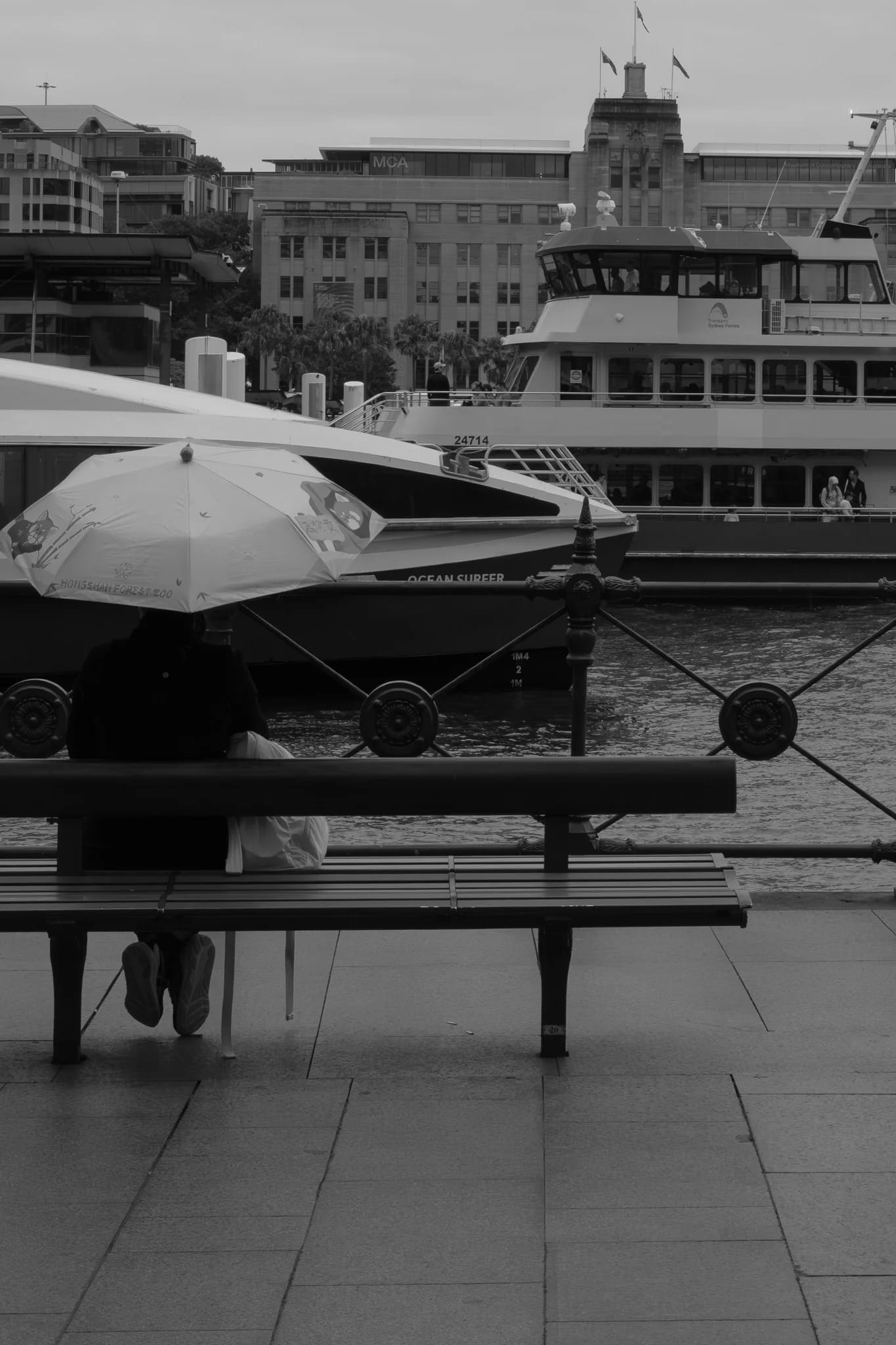 Waiting at Circular Quay